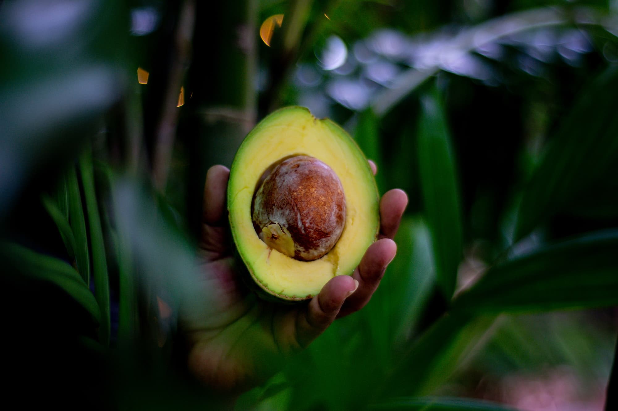 5 Recetas Keto con Aguacate: Sabrosas y Saludables para tu Dieta Cetogénica